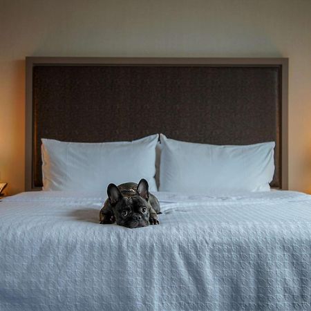 Homewood Suites By Hilton Chicago West Loop Fulton Mkt Area Eksteriør bilde