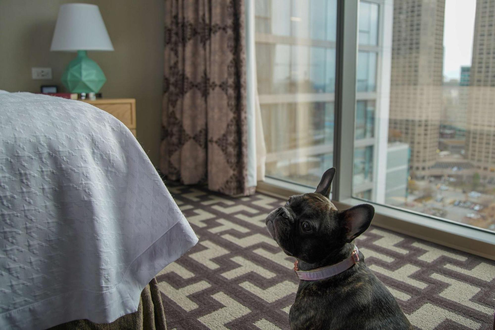 Homewood Suites By Hilton Chicago West Loop Fulton Mkt Area Eksteriør bilde