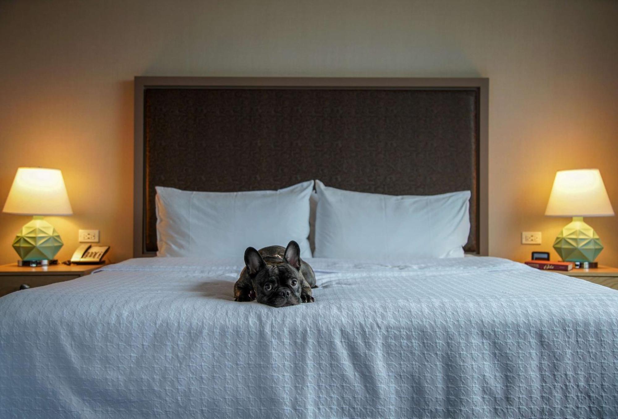 Homewood Suites By Hilton Chicago West Loop Fulton Mkt Area Eksteriør bilde
